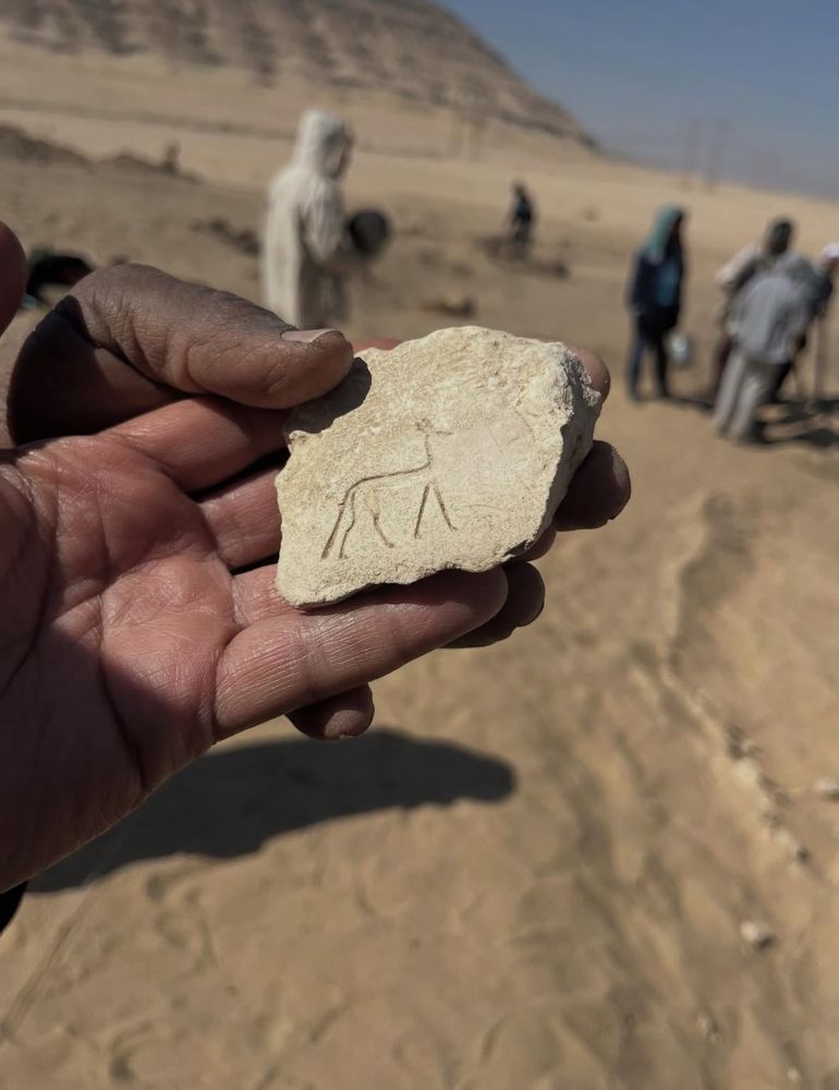 An image of two hands holding a carved limestone ostracon that depicts a striding canine. 