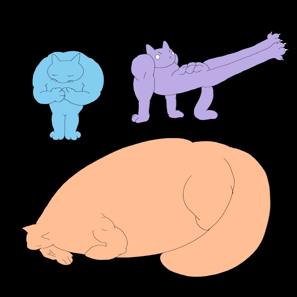 bunch of buff cats