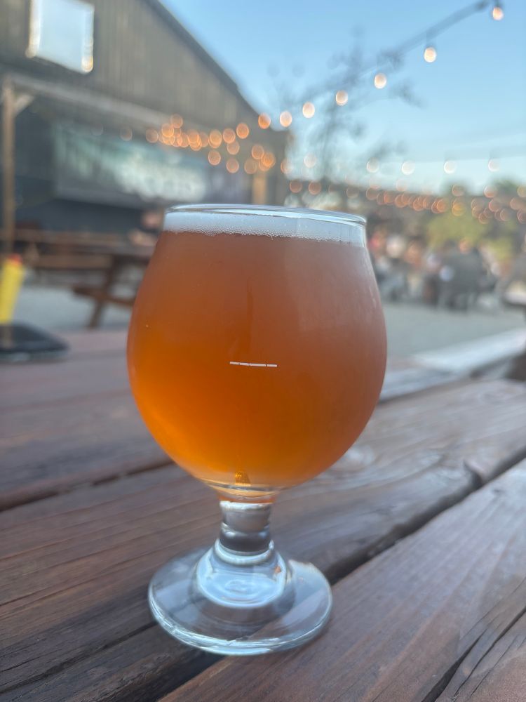 beer