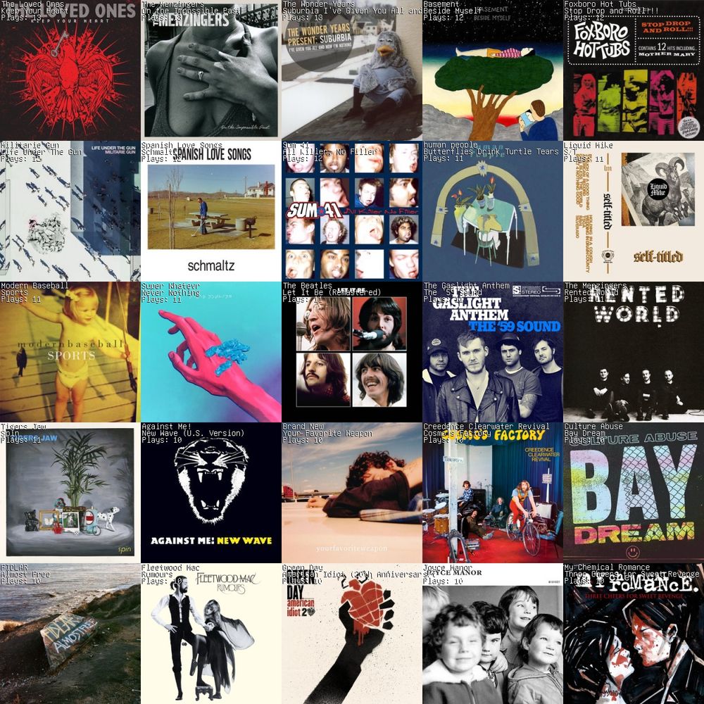 Grid with albums from the following artists: The Loved Ones, The Menzingers, The Wonder Years, Basement, Foxboro Hot Tubs, Modern Baseball, Super Whatevr, The Beatles, The Gaslight Anthem, Tigers Jaw, Against Me, Brand New, Creedence Clearwater Revival, Culture Abuse, FIDLAR, Fleetwood Mac, Green Day, Joyce Manor, My Chemical Romance 