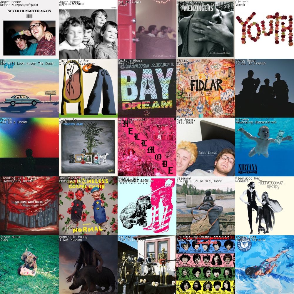 Grid with albums from the following artists: Joyce Manor, Hot Mulligan, The Menzingers, Citizen, PUP, The Story So Far, Culture Abuse, FIDLAR, Praise, Tigers Jaw, Jeff Rosenstock, Mom Jeans, Nirvana, Sledding With Tigers, The Homeless Gospel Choir, Against Me, Basement, Fleetwood Mac, Mannequin Pussy, Oso Oso, The Rolling Stones, Trophy Eyes