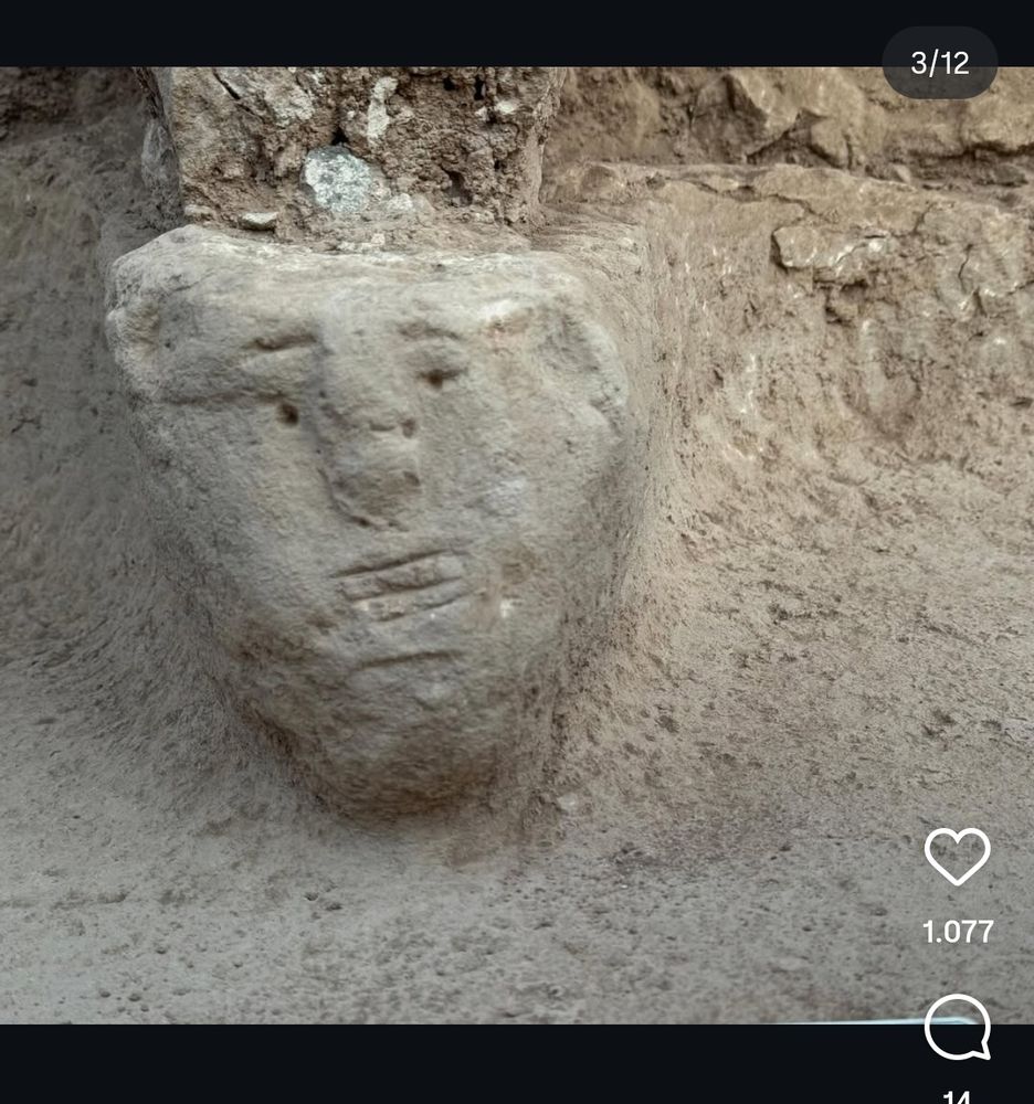 The face- open eyes, lips, nose