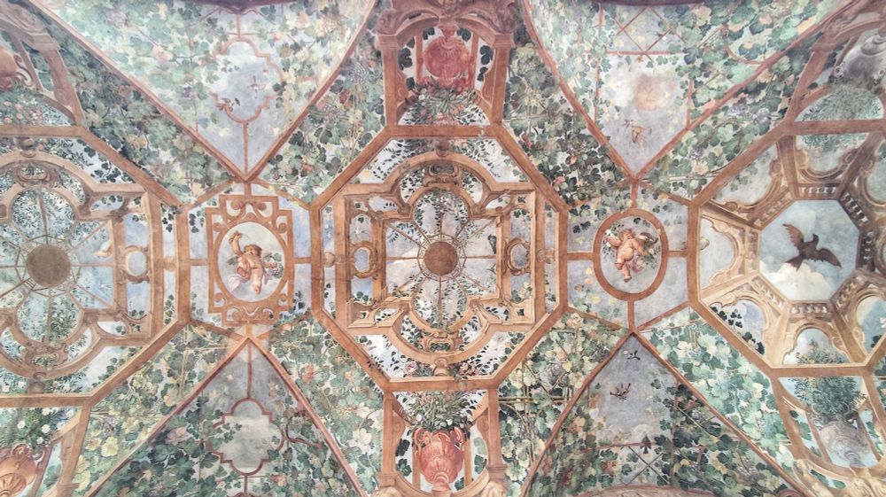 Ceiling frescoes painted as three adjacent concentric scaffoldings onto which grapevines climb, there are birds and cherubs around