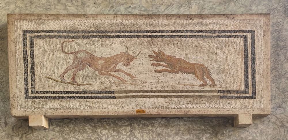 A wolf attacking a goat