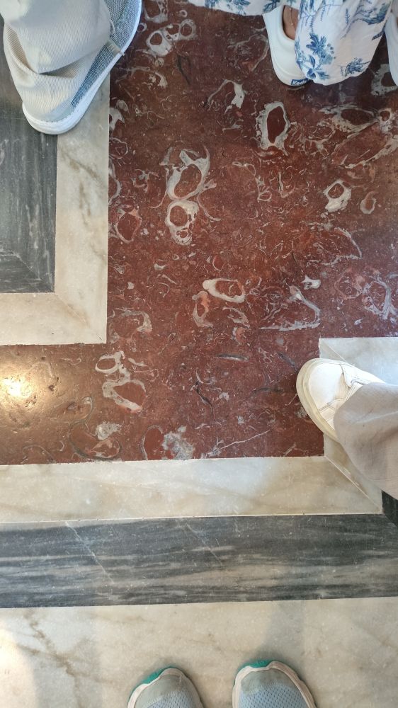 A piece of red marble on the floor surrounded by gray and white marble lines. On it there are round white rudist fossil features.