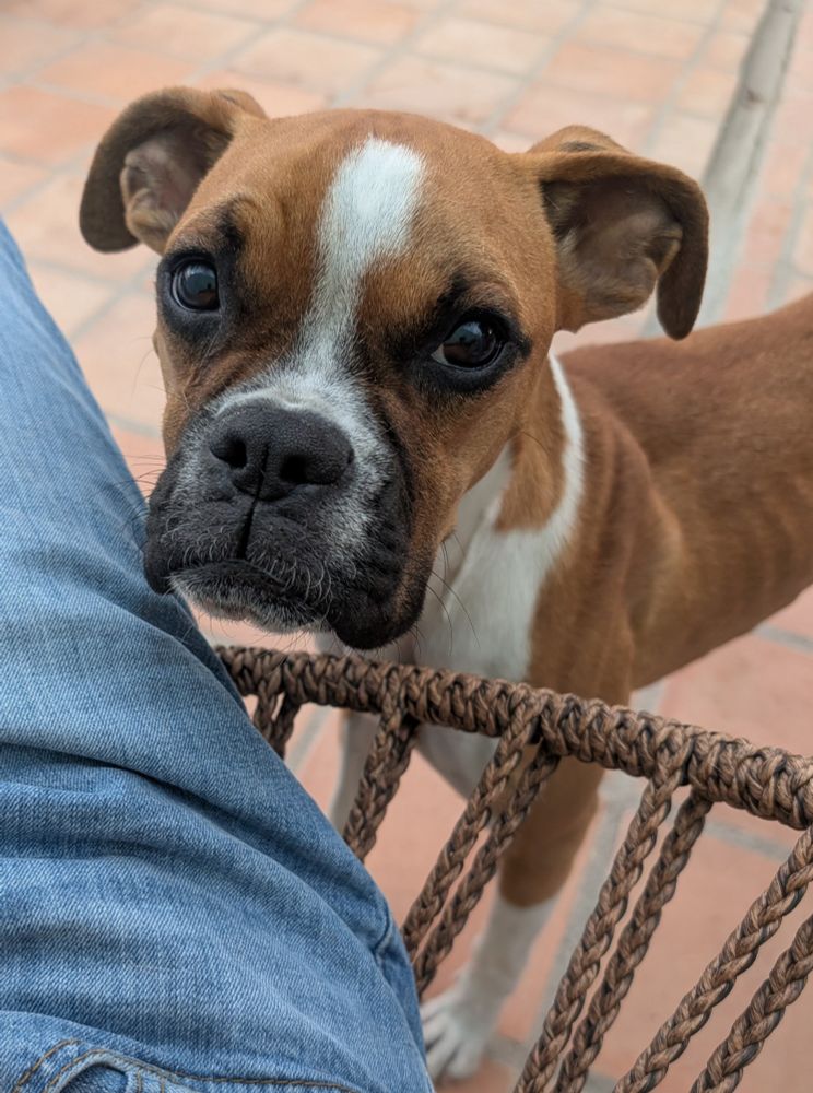 Yes, I let her get in my lap.