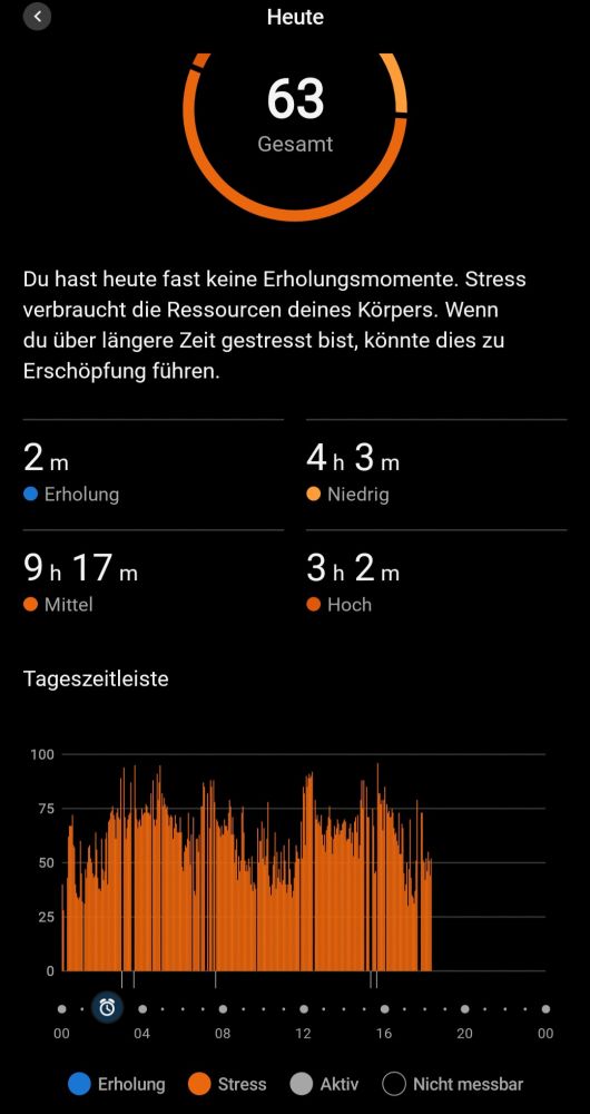 Garmin Smartwatch zeigt hohes Stresslevel den ganzen Tag