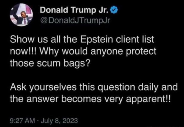 A Tweet from Donald Trump Jr. from 9:27 AM, July 8 2023:

Show us all the Epstein client list now!!! Why would anyone protect those scum bags?

Ask yourselves this question daily and the answer becomes very apparent!!