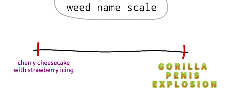 A line with the title "weed name scale" at the top.

The left side of the line is marked and labelled with dark pink text, which reads "cherry cheesecake with strawberry icing"

The right side of the line is marked and labelled with the toxic green text that fades into fire red, which reads "GORILLA PENIS EXPLOSION"