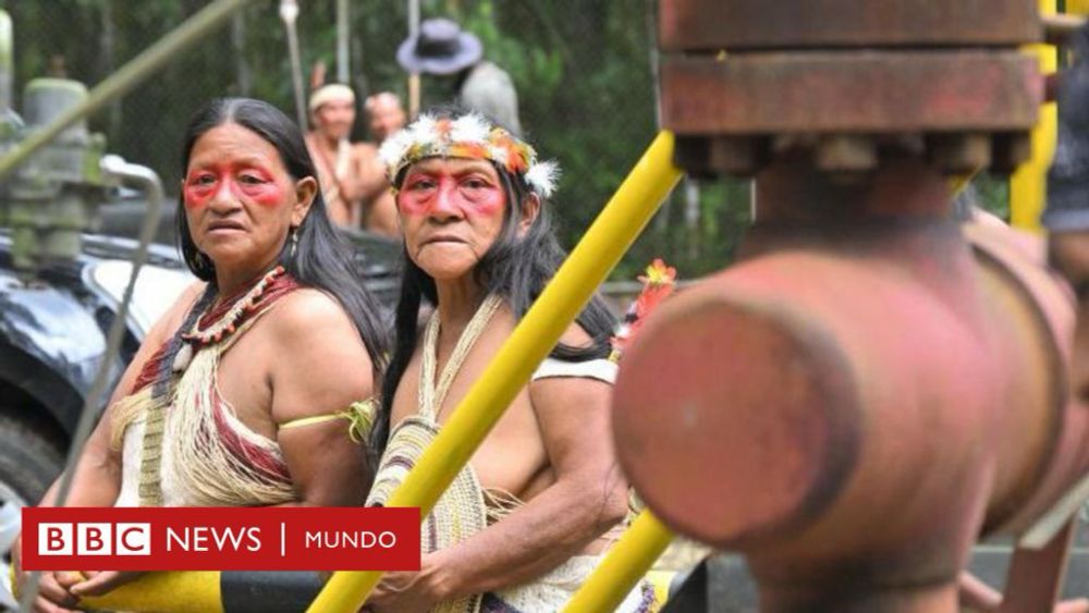 Yasuní: por qué Ecuador sigue explotando petróleo en el parque nacional un año después del histórico referendo en el que se votó a favor de prohibirlo - BBC News Mundo