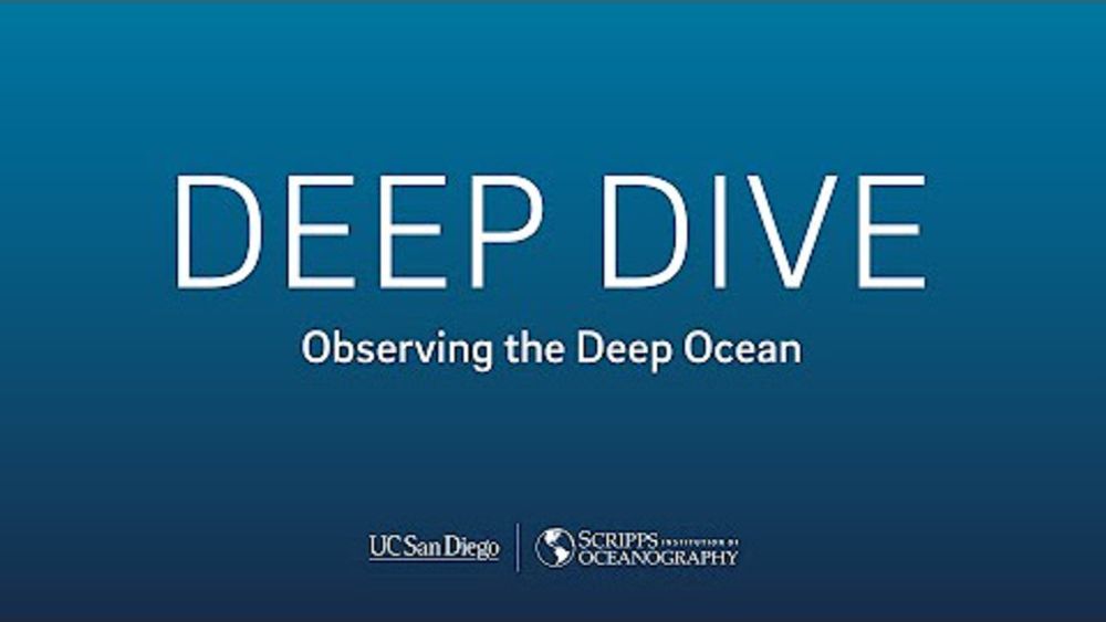 Deep Dive with Director Margaret Leinen