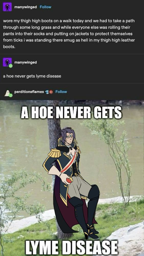 A screenshot of a tumblr textpost thread by user manywinged. It reads "wore my thigh high boots on a walk today and we had to take a path through some long grass and while everyone else was rolling their pants into their socks and putting on jackets to protect themselves from ticks i was standing there smug as hell in my thigh high leather boots." there is a reblog by OP, reading "a hoe never gets lyme disease." the next reblog, by user perditionsflames is an image of a person leaning against a tree, with "a hoe never gets lyme disease" as a caption, but in the image Barok Van Zieks has been drawn over the original person in the image.