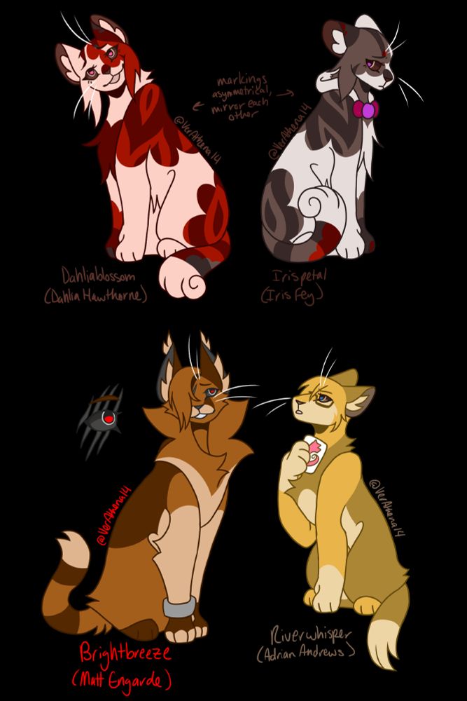 Ace Attorney characters as Warrior Cats. Dahliablossom (Dahlia Hawthorne) is a calico tabby cat with brown eyes. She has much more ginger-red coloration than brown-black, and the end of her tail has a Fey-associated swirl. Irispetal (Iris Fey) is a calico tabby cat with brown eyes. She has much more brown-black coloration than ginger-red, and her markings are an exact inverse of Dahliablossom's. She, too, has a Fey-associated swirl on the end of her tail. Brightbreeze (Matt Engarde) is a brown cat with grey eyes. His chest fur is very large, resembling Engarde's large collar-lapel-things. He has a lock of fur over one eye, and a close-up on the side shows the covered eye has claw marks over it. Riverwhisper (Adrian Andrews) is a golden cat with glasses and brown eyes. She holds a card with a pink seashell on it close to her chest.