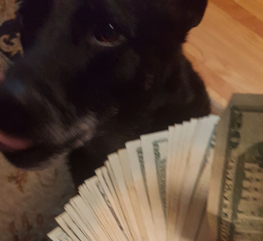 holla holla get dolla