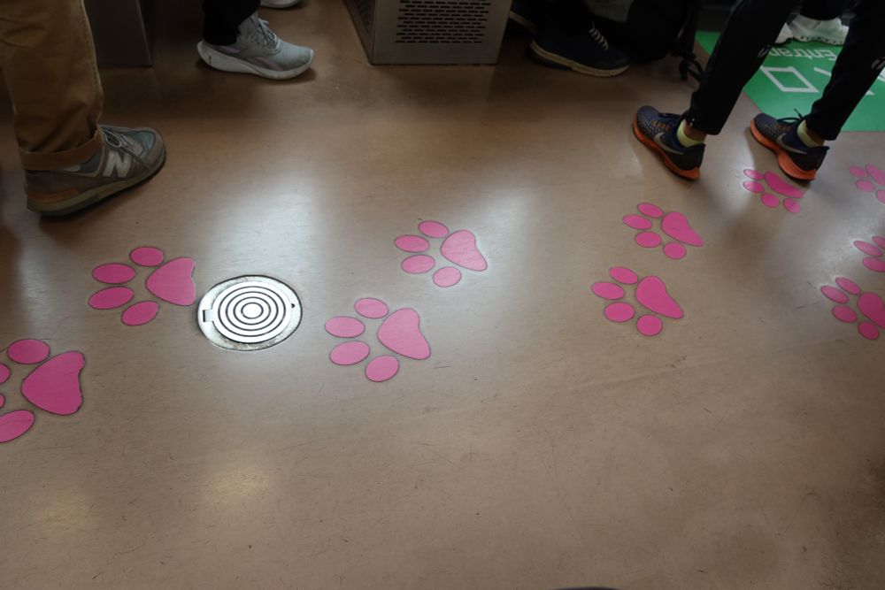 Paw print stickers line the floor of the tram. 