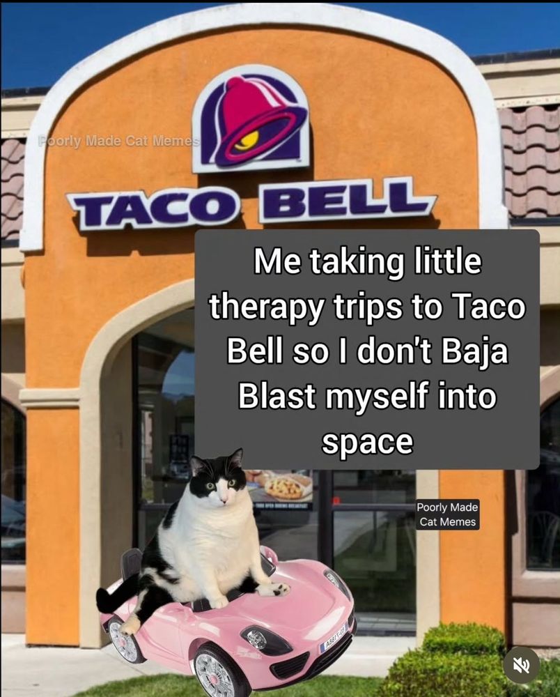 A picture of the exterior of a Taco Bell with a black and white cat in a pink car photoshopped in front of it. There is a text box that reads "me taking little therapy trips to Taco Bell so I don't Baja Blast myself into space"