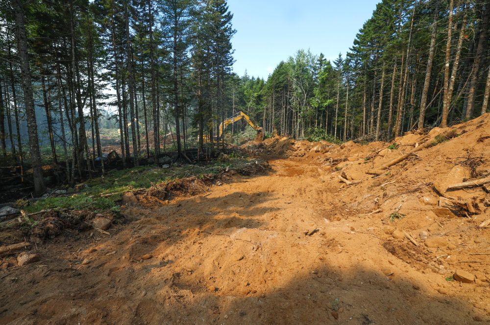 A dozer break in progress to help prevent the fire from spreading.