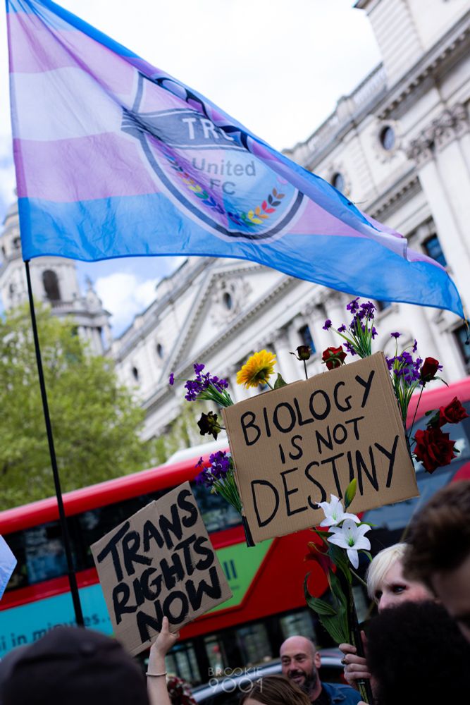 Protest signs behind held up, seen within a crowd, with the words "Trans Rights Now" and "Biology is Not Destiny" written on them. A trans flag for the TRUK United FC football team is flying above