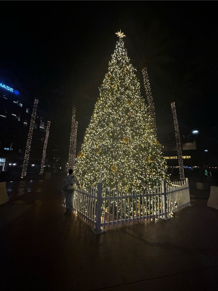 Giant Christmas Tree!!!