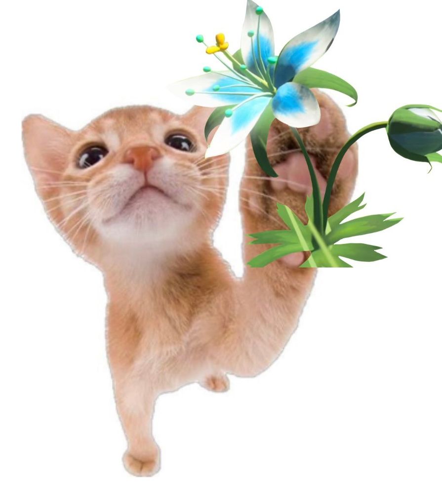 a meme of a cat giving you a silent princess flower 🐱