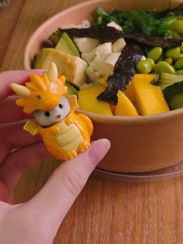 me comparing side to side the same dragon to the mango pieces 🧡🌱