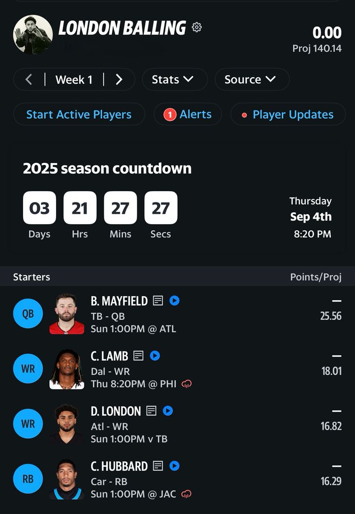 A fantasy football team roster 