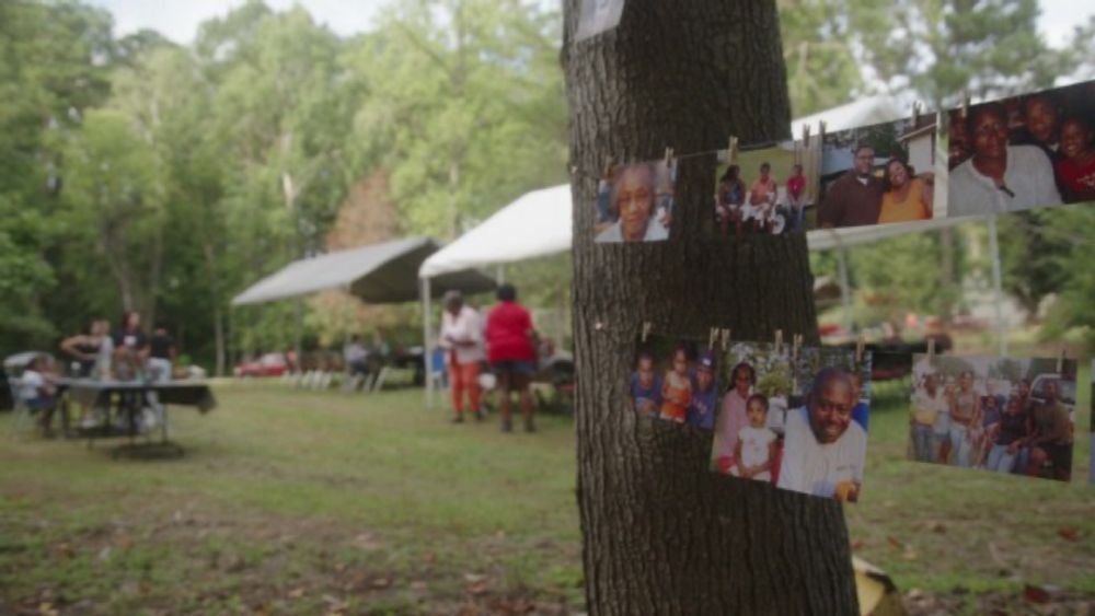 Jennifer MacArthur’s “Family Tree” is conjoined tale of social responsibility and legacy preservation. [Atlanta Film Festival]