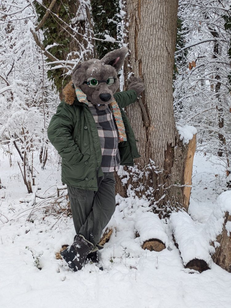 Grey dog fursuit in the snow, leaning against tree