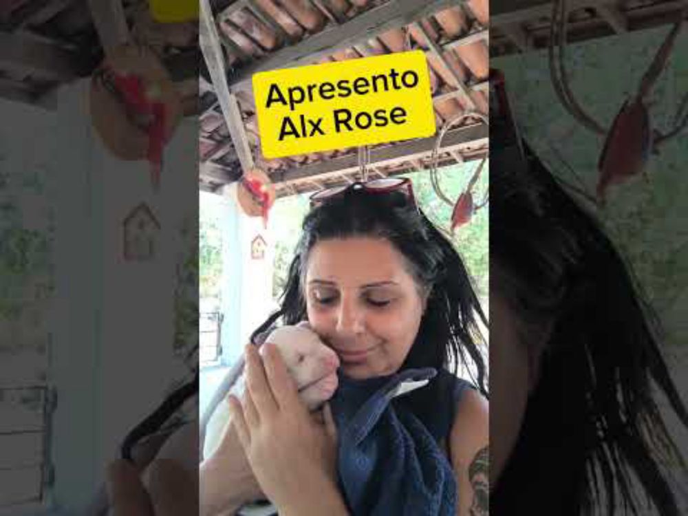 O mais novo Resgatado