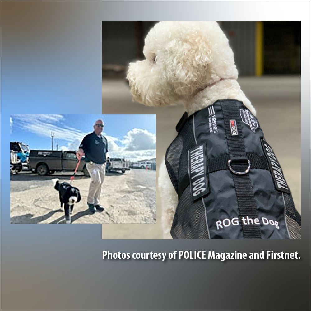 This montage collects two photos of “ROG” dogs: at left, a shaggy black and white “doodle’ with a handler onsite in Texas from POLICE Magazine, and a white dog in a ROG vest at right from Firstnet.