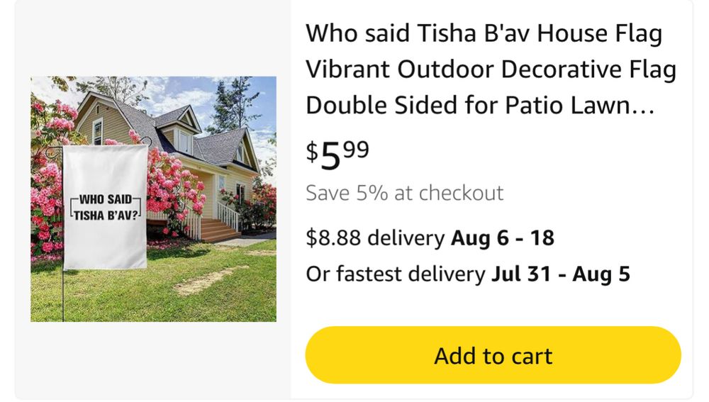 A yard flag that said “who said Tisha B’Av?”