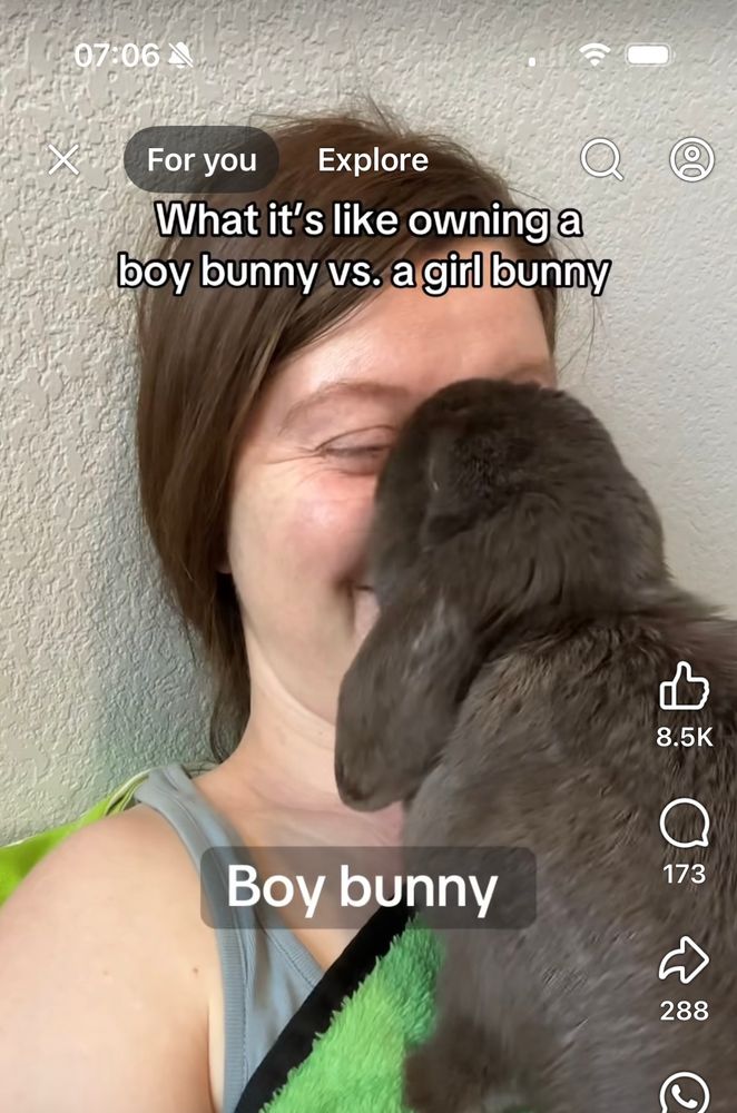Facebook reel screen shot: what it’s like owning a boy bunny vs. a girl bunny. A bunny is licking a woman’s face and the caption says “boy bunny”
