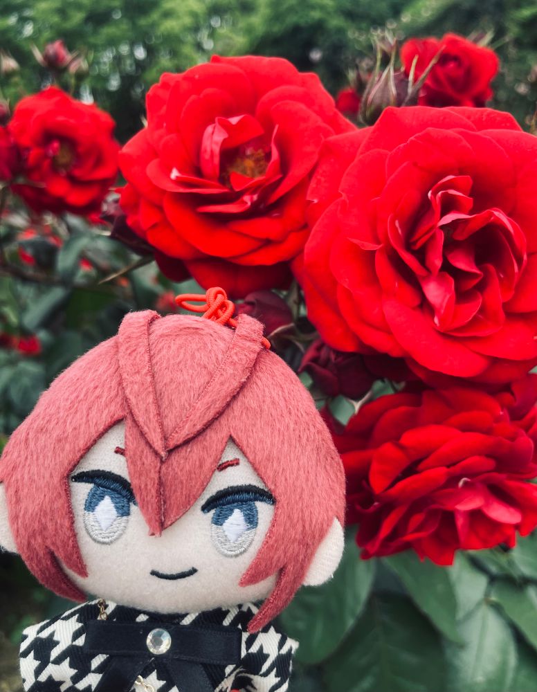 写真。リドぬいの背後にバラ園の真っ赤なバラ。