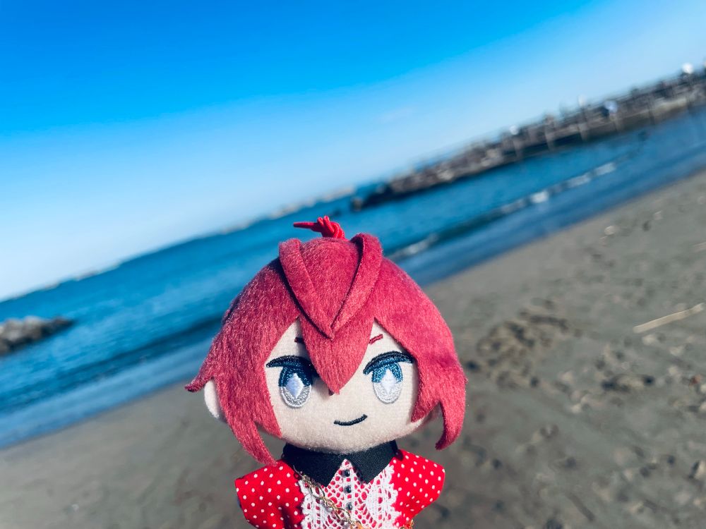 写真。手前に正面を向いたリドぬい、背景は熱海の海と砂浜と晴れた空。リドぬいの服は黒い襟に赤地に白いドットのシャツ、胸元にはレース。心なしか瞳が輝いている。