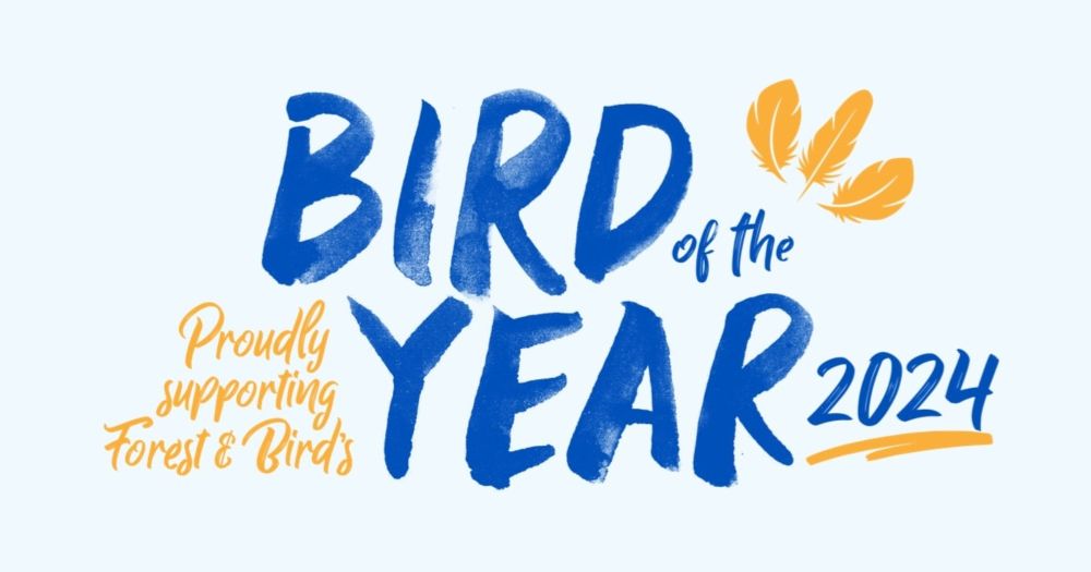 Bird of the Year ‹ Forest & Bird