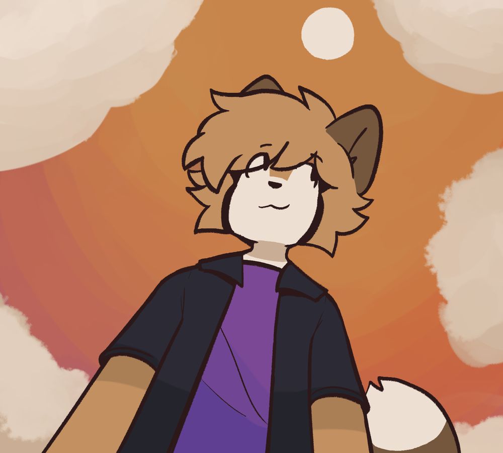 cat/raccoon anthro looking upwards under a sunset at a low angle