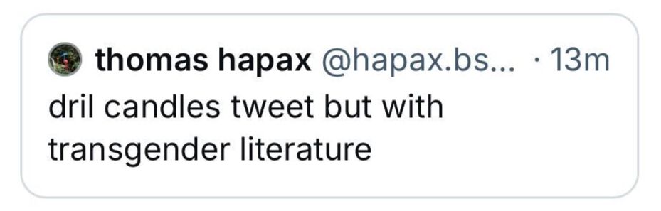 a skeet by tom happy:

dril candles tweet but with transgender literature 