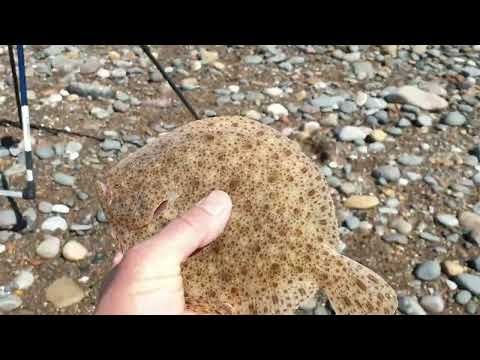 Kilnsea - Sea Fishing