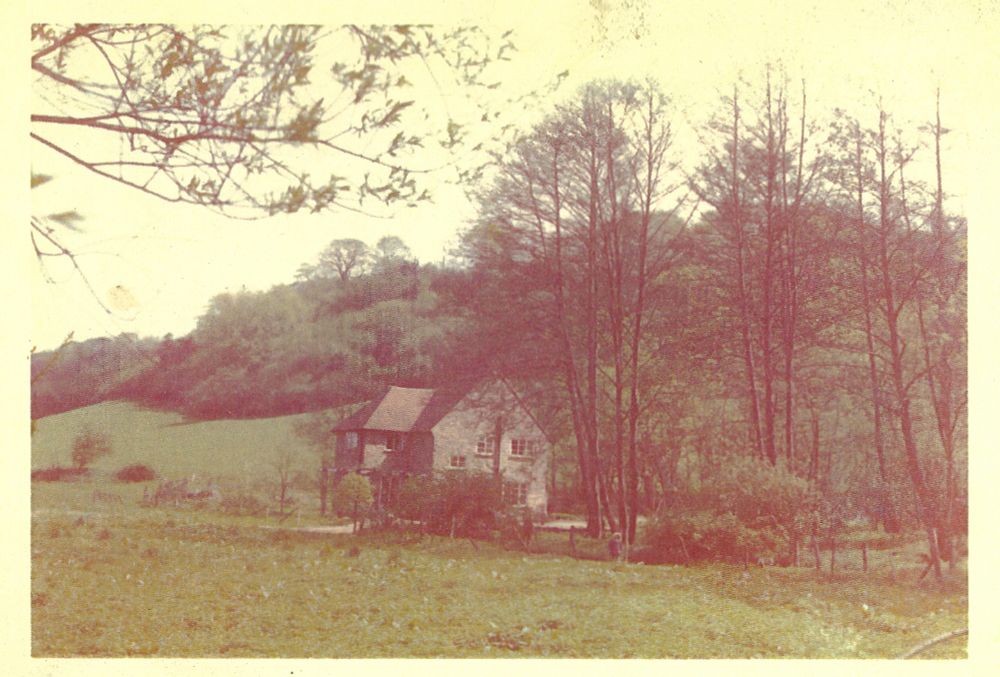 Field of nettles in front.  Plumbing on the outside of the house.  A small pool.