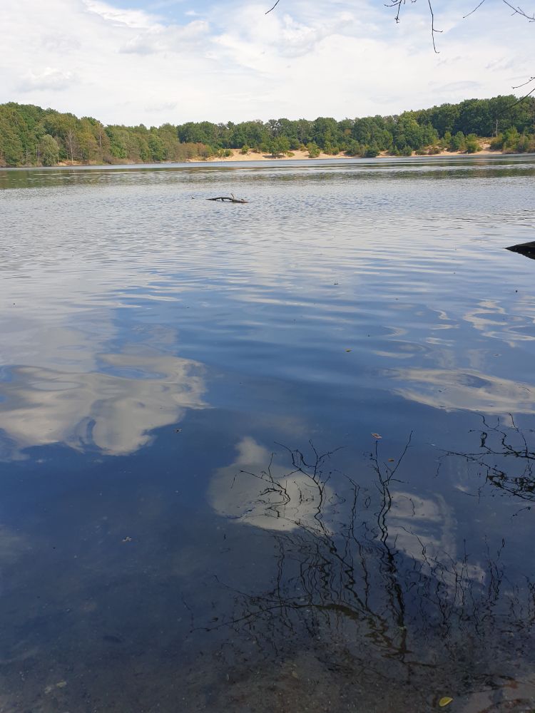 Photo shows a lake. Reflected on its surface, we can see blue sky with a few little white clouds. At the far side of the lake, there's a sandy beach, banked up towards a line of trees.