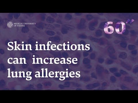 60 Seconds of Science! Skin infections can increase lung allergies