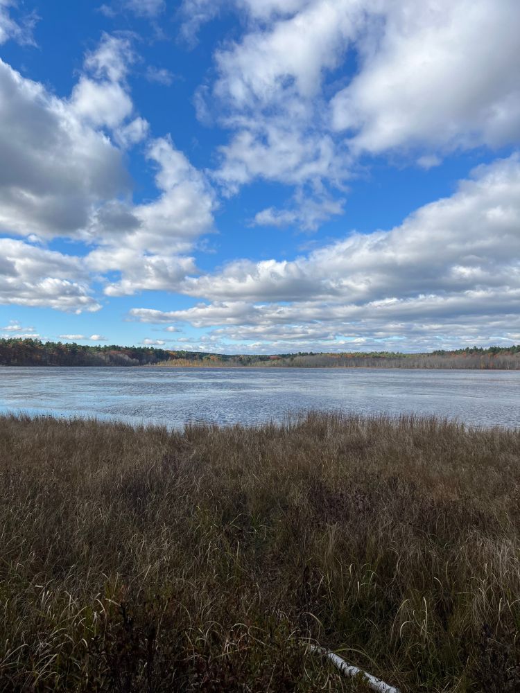 The Japanese is meant to say (ha!) "today I went for a forest bath. I sprained my ankle a bit, but I don't regret it. I don't regret it, ok I regret it a little." Forest bathing is also a thing in Japan. Anyway this photo is of Great Turkey Pond in New Hampshire. Fluffy clouds over the pond with sun lighting the last of the autumn foliage in the distance and marsh grass in the foreground.