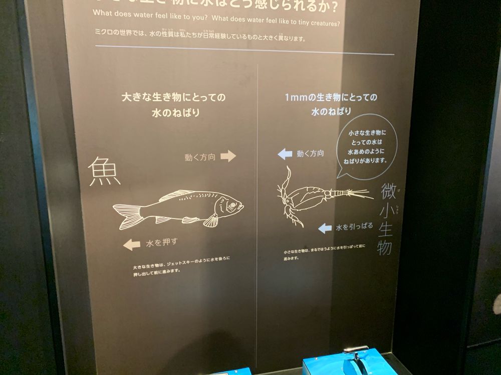 水の粘性により、プランクトンなど小さな水棲動物は前から引っ張って進むものが多く（水の粘性を強く感じるので）、魚など大きな水棲動物は後ろから押して進む動物が多い、という説明