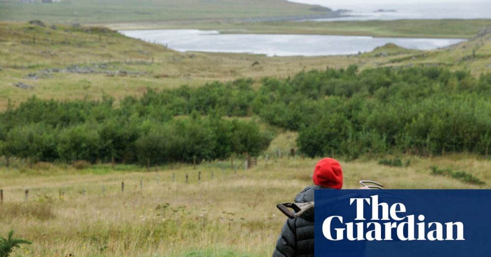 Profits from community windfarm to fund a million native trees in Hebrides