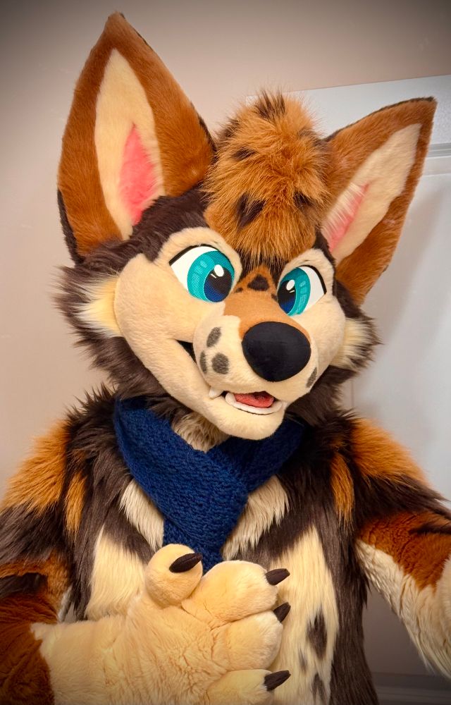 a coyote fursuiter doing a mirror selfie