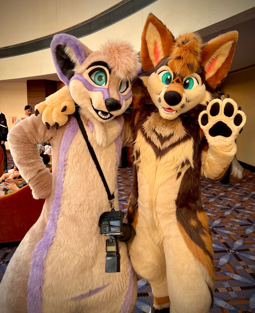 An otter fursuiter and a coyote fursuiter pose for the camera