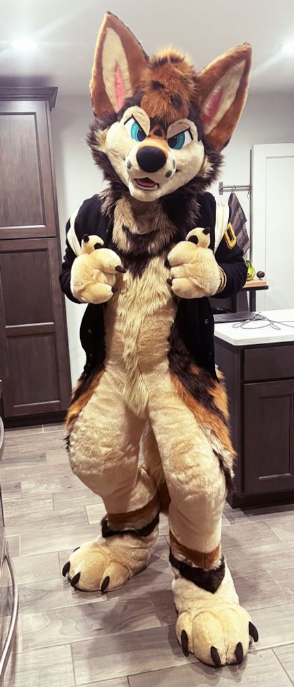 A frowny coyote fursuiter with a varsity jacket on, viewed from the front