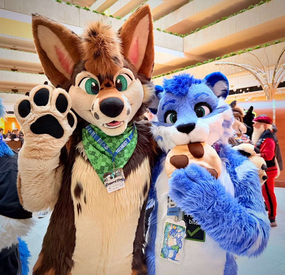 A coyote fursuiter and a blue-and-white tiger fursuiter with a cookie in his mouth pose for the camera. 