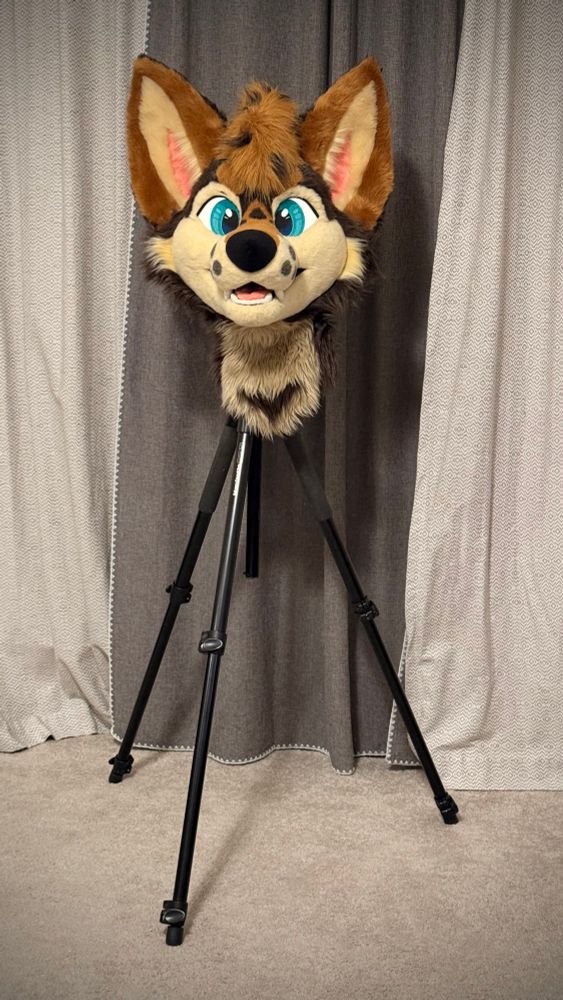 a fursuit head on a camera tripod