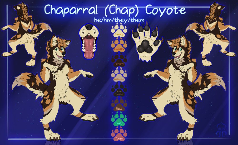 A character reference sheet of an anthro coyote